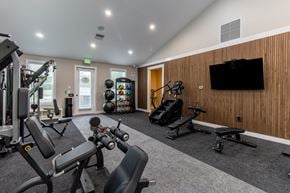 Jacksonville apartment for rent - A gym with a variety of equipment including a treadmill, weights, and a bench press.