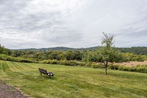 Newburgh apartment for rent - a park bench sitting in the grass next to a tree