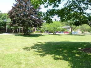 Kingston apartment for rent - a grass field with a tree and a playground