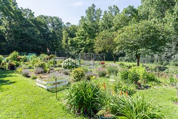 Garden plots