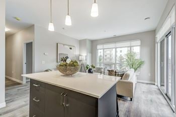 Quartz countertops