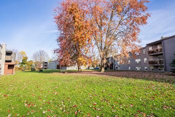 Green space
