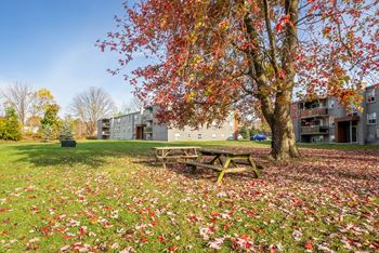 Picnic area