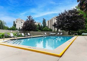 London apartment for rent - A swimming pool surrounded by trees and chairs.