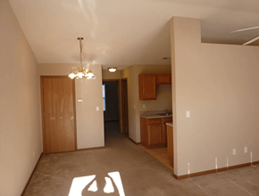 Belleville apartment for rent - Belleville IL Apartments Living Room