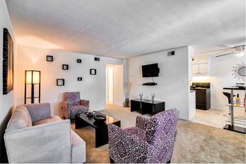 Swansea apartment for rent - A living room with a grey couch, a black coffee table, and a purple chair with a patterned design.