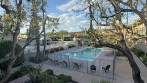 Redondo Beach apartment for rent - A pool surrounded by trees and chairs.