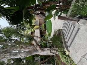 Torrance apartment for rent - a tree on side of building and a staircase