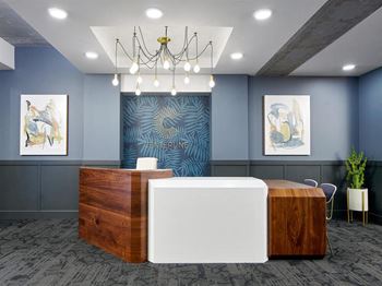 Curated artwork and interior design