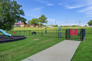 Dog park