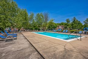 Louisville apartment for rent - A large outdoor swimming pool surrounded by trees and lounge chairs.