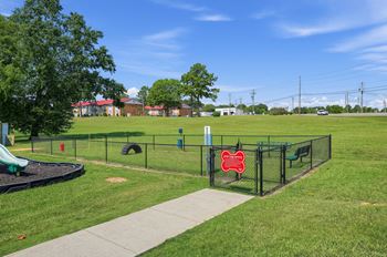 Dog park