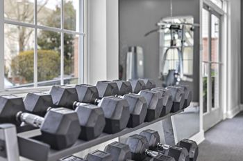 Free weights