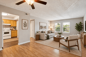 Louisville apartment for rent - A living room with a couch, chair, and a rug.