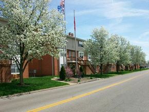 Evansville apartment for rent - a street with a building and trees with white flowers