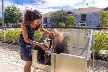 Dog washing station