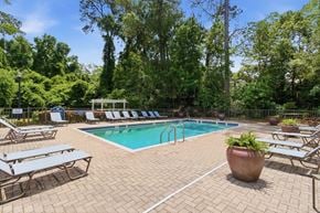 Tallahassee apartment for rent - A sparkling swimming pool at Aspen Run Apartments surrounded by lounge chairs and lush trees.