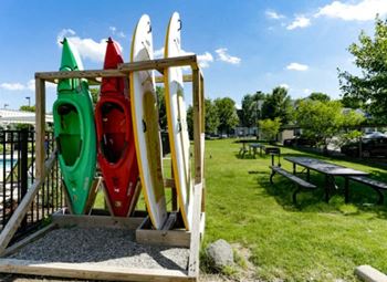 Complimentary kayak and paddle board rentals
