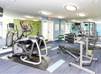 Free weights