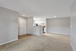 Muskegon apartment for rent - the living room and kitchen of an empty home with a carpeted floor