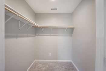 Walk-in closet (select units)