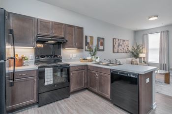 Fully equipped kitchen - black appliances