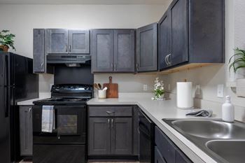 Fully equipped kitchen - black appliances