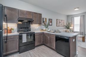 Columbus apartment for rent - A modern kitchen with dark brown cabinets and black appliances.