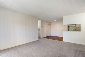 Sandston apartment for rent - Spacious room with carpeted floor at Wellington Place, Sandston, 23150
