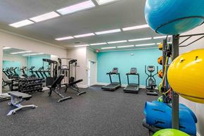Macon apartment for rent - A gym with a variety of equipment including treadmills, weights, and exercise balls.