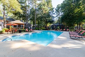 Aiken apartment for rent - A large swimming pool surrounded by trees and lounge chairs.