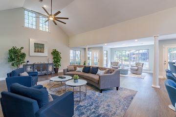 Aiken apartment for rent - A living room with a grey couch and blue chairs.