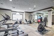 Athens apartment for rent - A well-equipped gym with treadmills, exercise bikes, and weights.