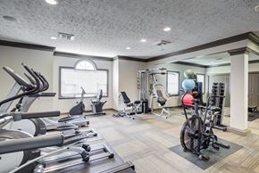 Athens apartment for rent - A well-equipped gym with treadmills, exercise bikes, and weights.