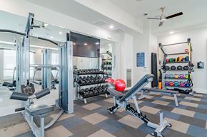 Newnan apartment for rent - A gym with a variety of equipment including a leg press machine.