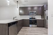 Santa Rosa Beach apartment for rent - A modern kitchen with a stainless steel dishwasher and oven.