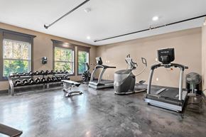 Asheville apartment for rent - the gym is equipped with treadmills and other fitness equipment