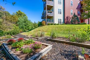 Asheville apartment for rent - a garden in front of a house on a hill