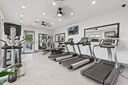 Gainesville apartment for rent - the gym with treadmills and ellipticals at the preserve at great neck apartments at SomerHill Farms Apartments, Gainesville