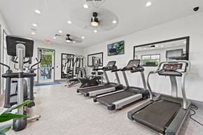 Gainesville apartment for rent - the gym with treadmills and ellipticals at the preserve at great neck apartments at SomerHill Farms Apartments, Gainesville