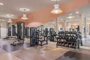 Acworth apartment for rent - A gym with a variety of equipment including treadmills, weights, and exercise machines.