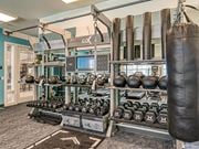 Midlothian apartment for rent - Fitness Center With Modern Equipment at Sapphire at Centerpointe, Midlothian, VA, 23114