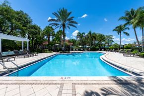 Parkland apartment for rent - A swimming pool surrounded by palm trees and lounge chairs.