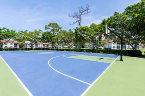 Parkland apartment for rent - A blue tennis court surrounded by green grass and trees.