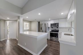 Parkland apartment for rent - A modern kitchen with stainless steel appliances and a breakfast bar.