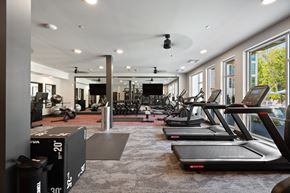 Chester apartment for rent - A gym with treadmills and exercise equipment.