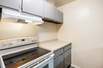 Petersburg apartment for rent - A white stove and oven in a kitchen with white cabinets.