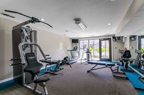 Macon apartment for rent - A well-equipped gym with a variety of exercise machines.