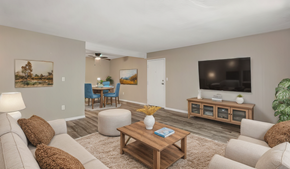 Shreveport apartment for rent - a living room with a couch and a table and a television