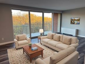 Washington apartment for rent - Modern Living Room at The Langston Views, Washington, DC